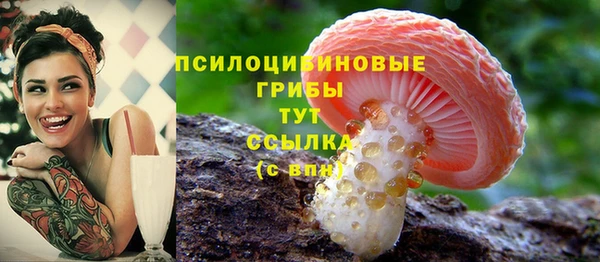 спайс Балахна